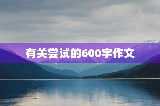 有关尝试的600字作文 有关尝试的600字作文