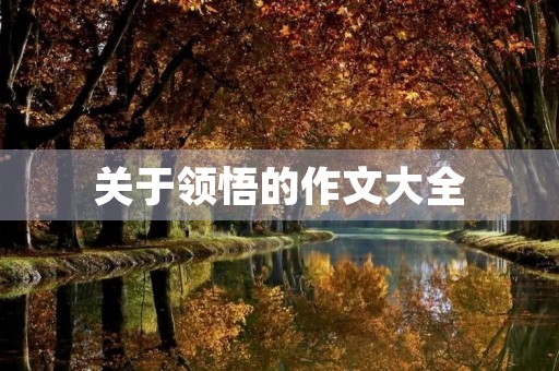 关于领悟的作文大全 关于领悟的作文大全