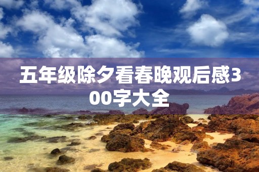 五年级除夕看春晚观后感300字大全 五年级除夕看春晚观后感300字大全