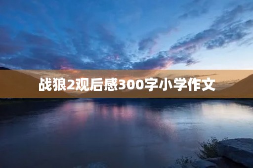 战狼2观后感300字小学作文 战狼2观后感300字小学作文