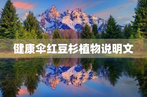 健康伞红豆杉植物说明文