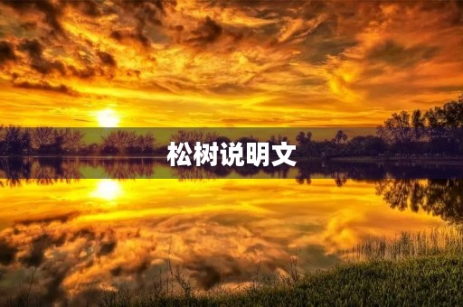 松树说明文