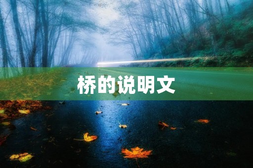 桥的说明文