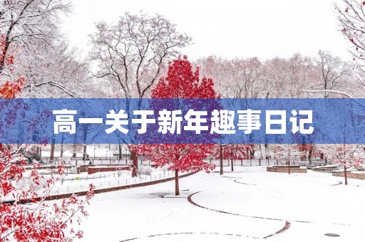 高一关于新年趣事日记