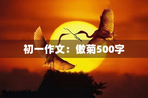 初一作文：傲菊500字