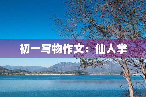 初一写物作文：仙人掌