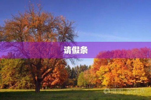 请假条 请假条