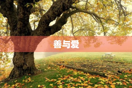善与爱 善与爱