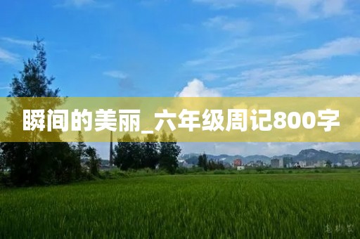 瞬间的美丽_六年级周记800字