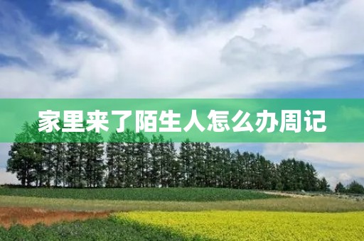 家里来了陌生人怎么办周记