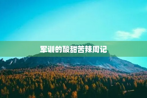 军训的酸甜苦辣周记 军训的酸甜苦辣周记