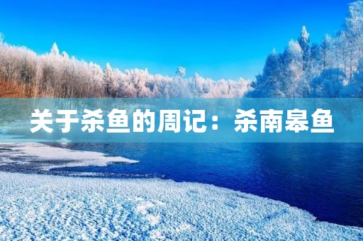 关于杀鱼的周记:杀南皋鱼 关于杀鱼的周记:杀南皋鱼