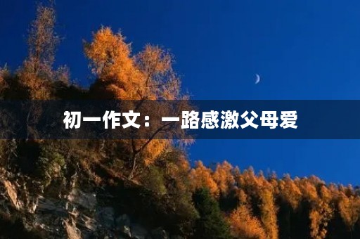 初一作文:一路感激父母爱 初一作文:一路感激父母爱