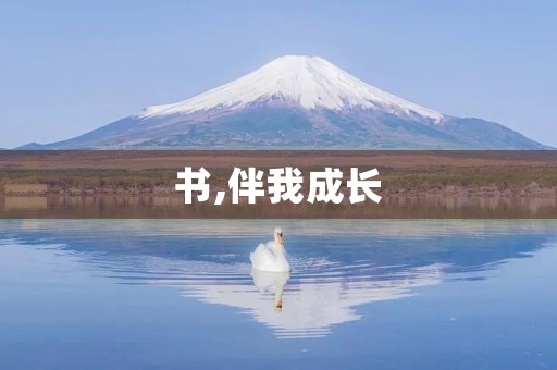 书,伴我成长 书,伴我成长