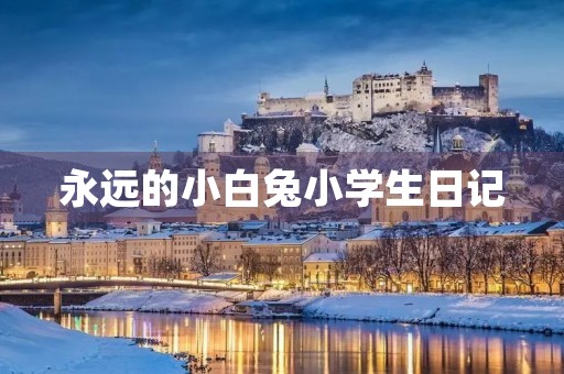 永远的小白兔小学生日记