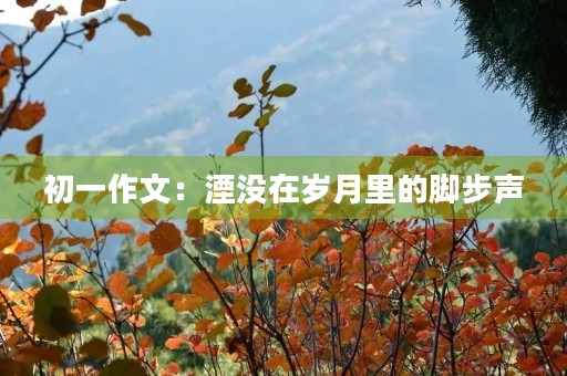 初一作文：湮没在岁月里的脚步声