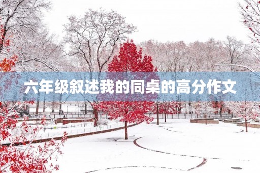 六年级叙述我的同桌的高分作文