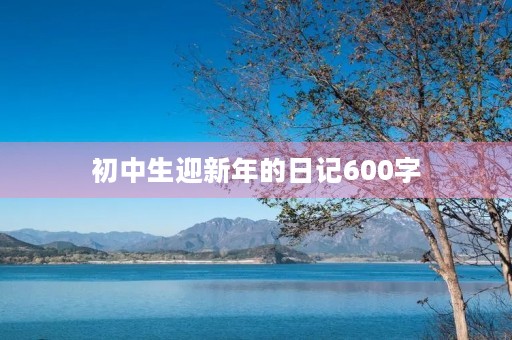 初中生迎新年的日记600字 初中生迎新年的日记600字