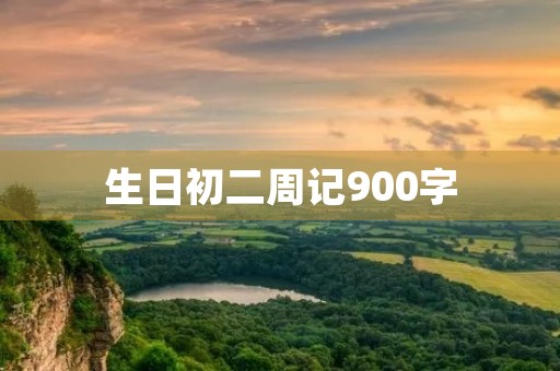 生日初二周记900字 生日初二周记900字