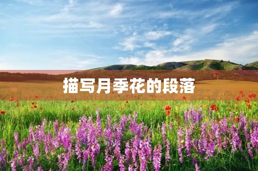 描写月季花的段落
