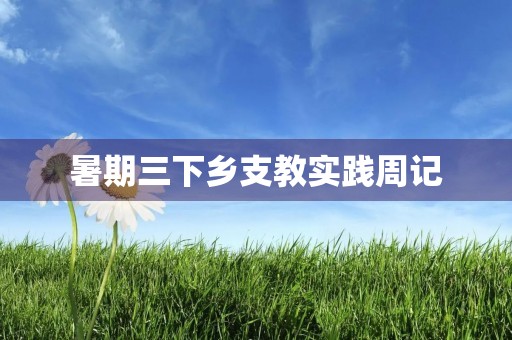 暑期三下乡支教实践周记 暑期三下乡支教实践周记