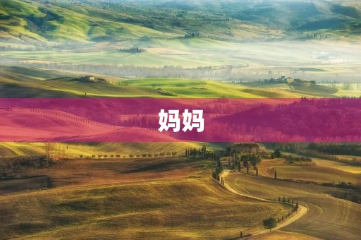 妈妈 妈妈