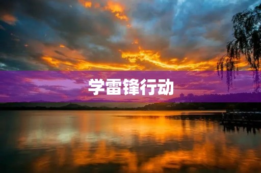 学雷锋行动 学雷锋行动