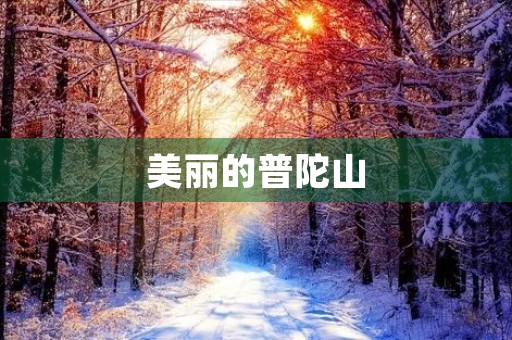 美丽的普陀山
