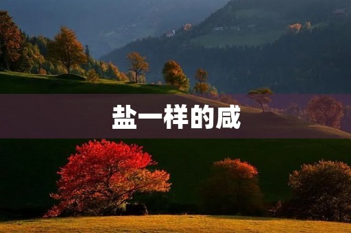 盐一样的咸 盐一样的咸