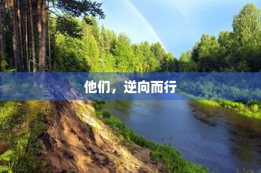 他们，逆向而行