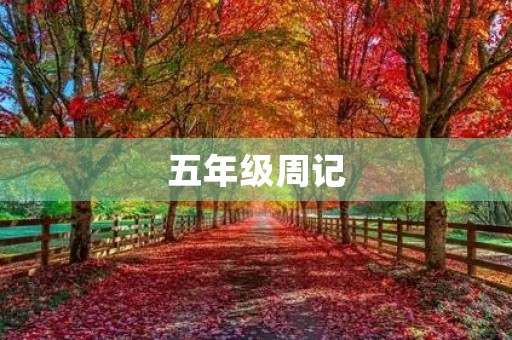 五年级周记 五年级周记