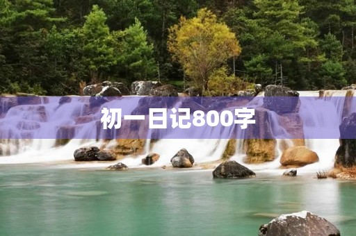 初一日记800字 初一日记800字