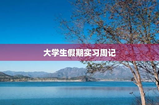 大学生假期实习周记 大学生假期实习周记