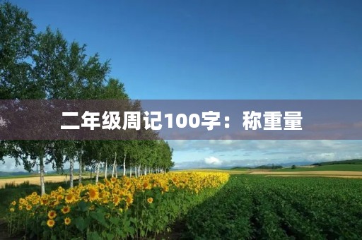 二年级周记100字：称重量