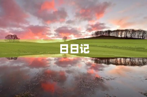 日日记 日日记