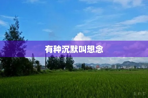有种沉默叫想念