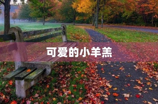 可爱的小羊羔