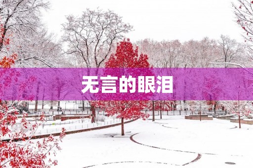 无言的眼泪 无言的眼泪