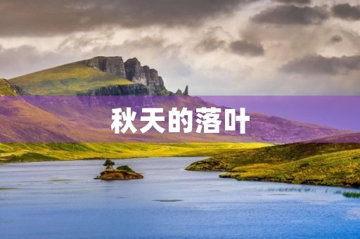 秋天的落叶 秋天的落叶