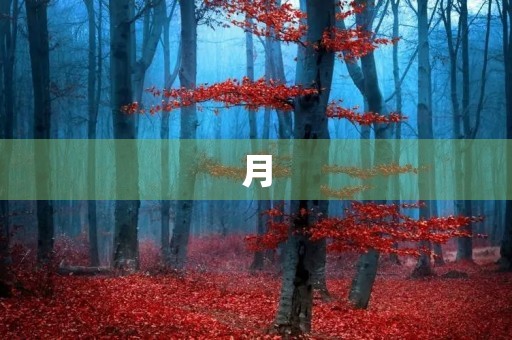 月 月