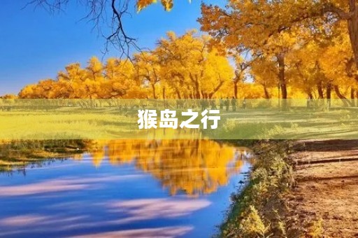 猴岛之行