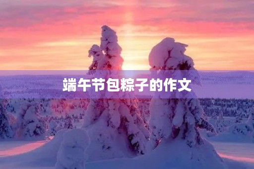 端午节包粽子的作文 端午节包粽子的作文