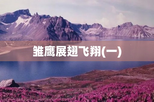 雏鹰展翅飞翔(一)