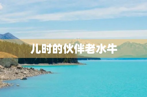 儿时的伙伴老水牛 儿时的伙伴老水牛
