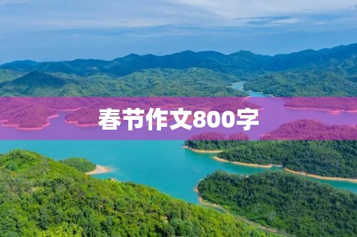 春节作文800字 春节作文800字