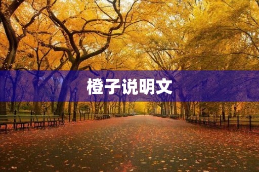 橙子说明文