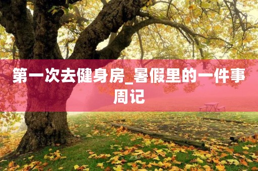 第一次去健身房_暑假里的一件事周记