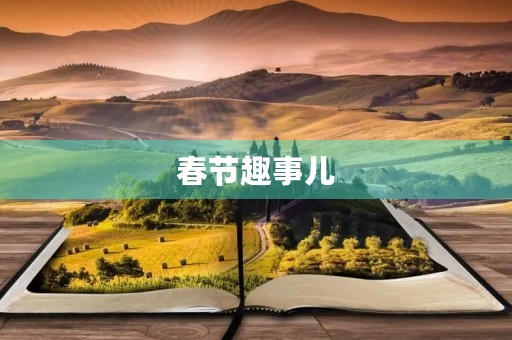 春节趣事儿