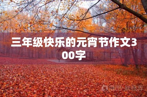 三年级快乐的元宵节作文300字