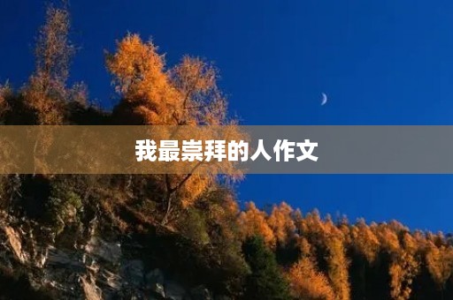 我最崇拜的人作文
